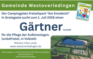Stellenangebote 1 Screenshot 2026 05 09 075600